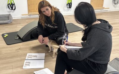 Comment Devenir Instructeur Pilates : Étapes à Suivre